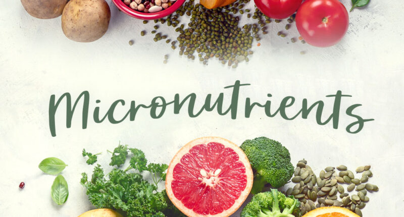 micronutrients